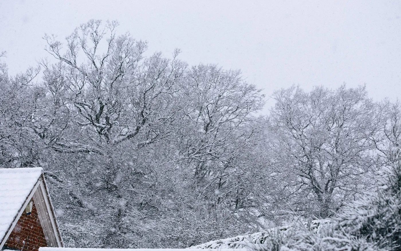 dovile_bertulyte_fine_jewellery_inspiration_snow11