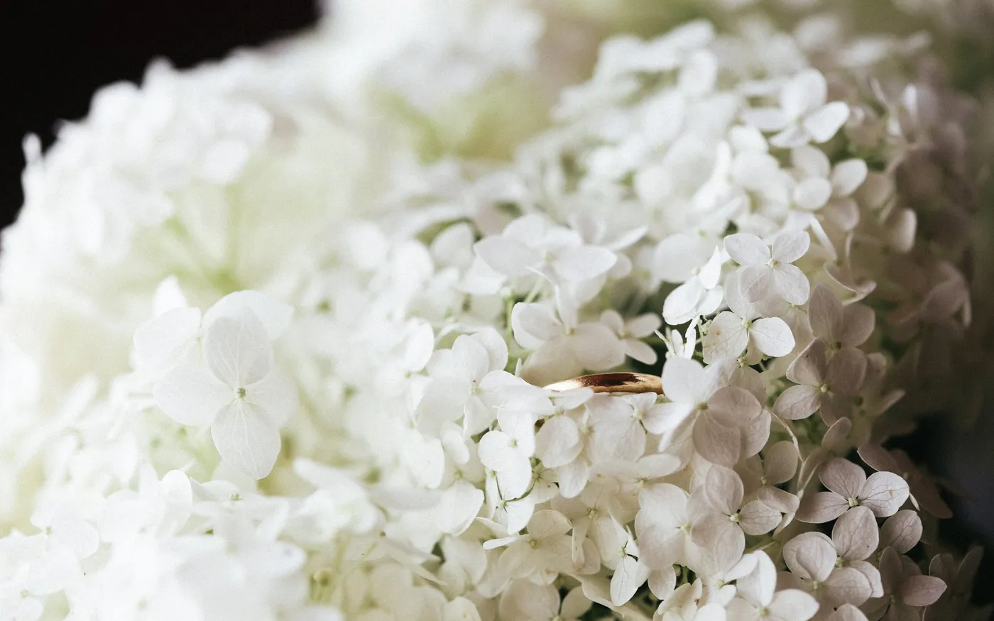 Dovile_Bertulyte_flowers and wedding bands12