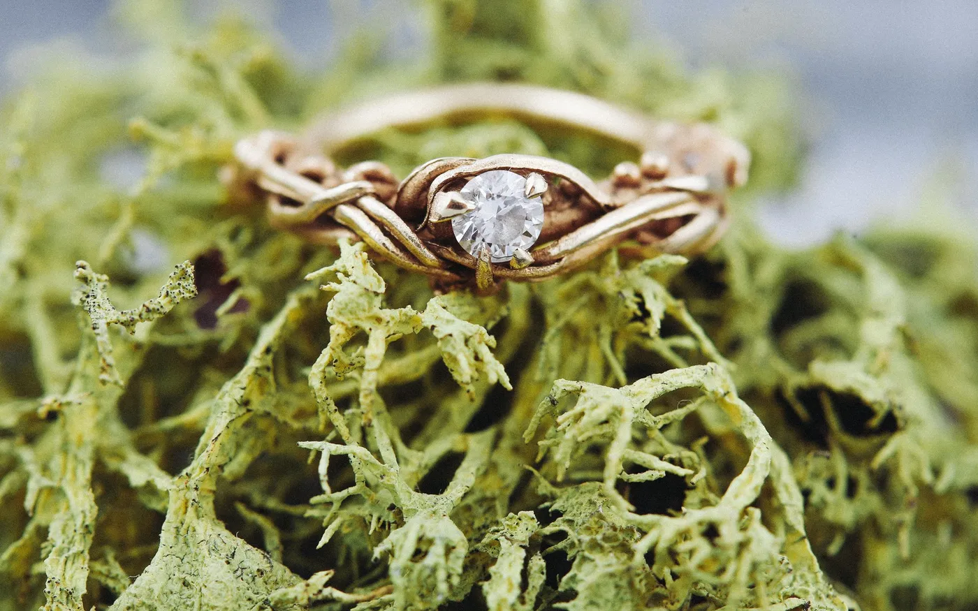 dovile b richmond park engagement proposal idea