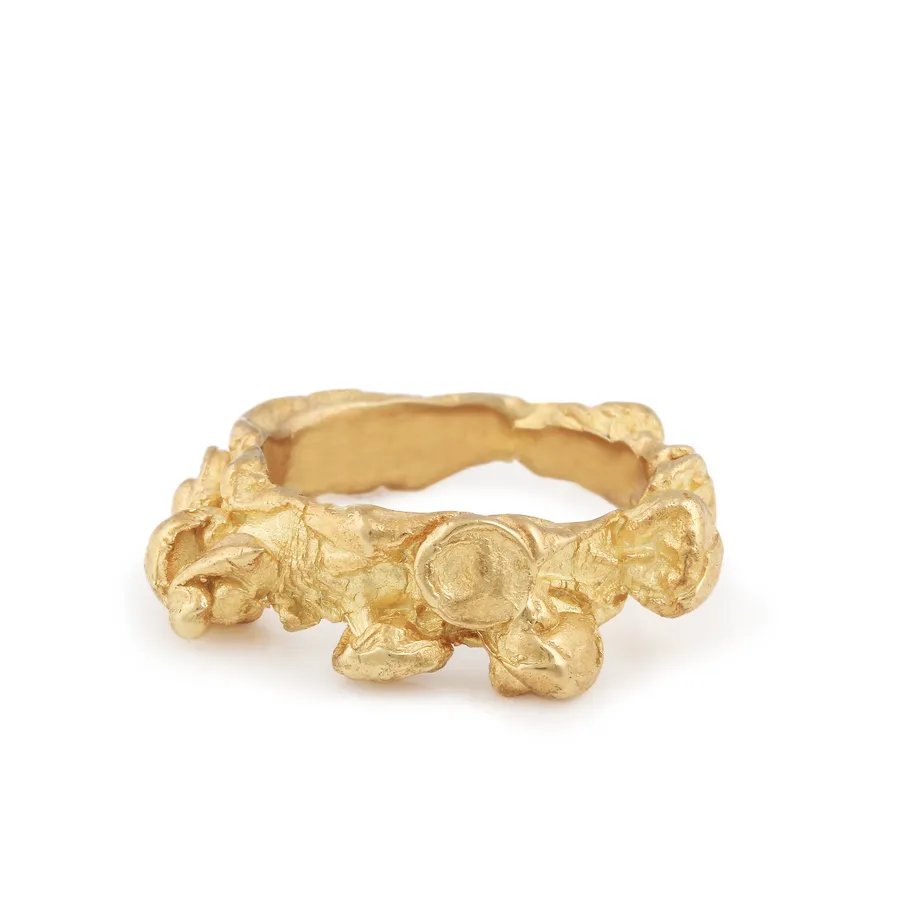 Unknown Species | 18ct Yellow Gold Statement Ring — Dovilė Bertulytė
