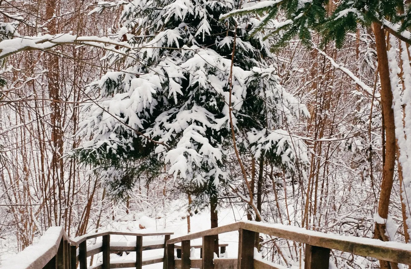 dovile b Lithuania winter