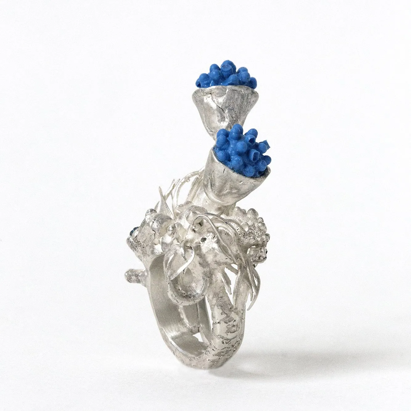 Dovilė Bertulytė reef ring nautilus
