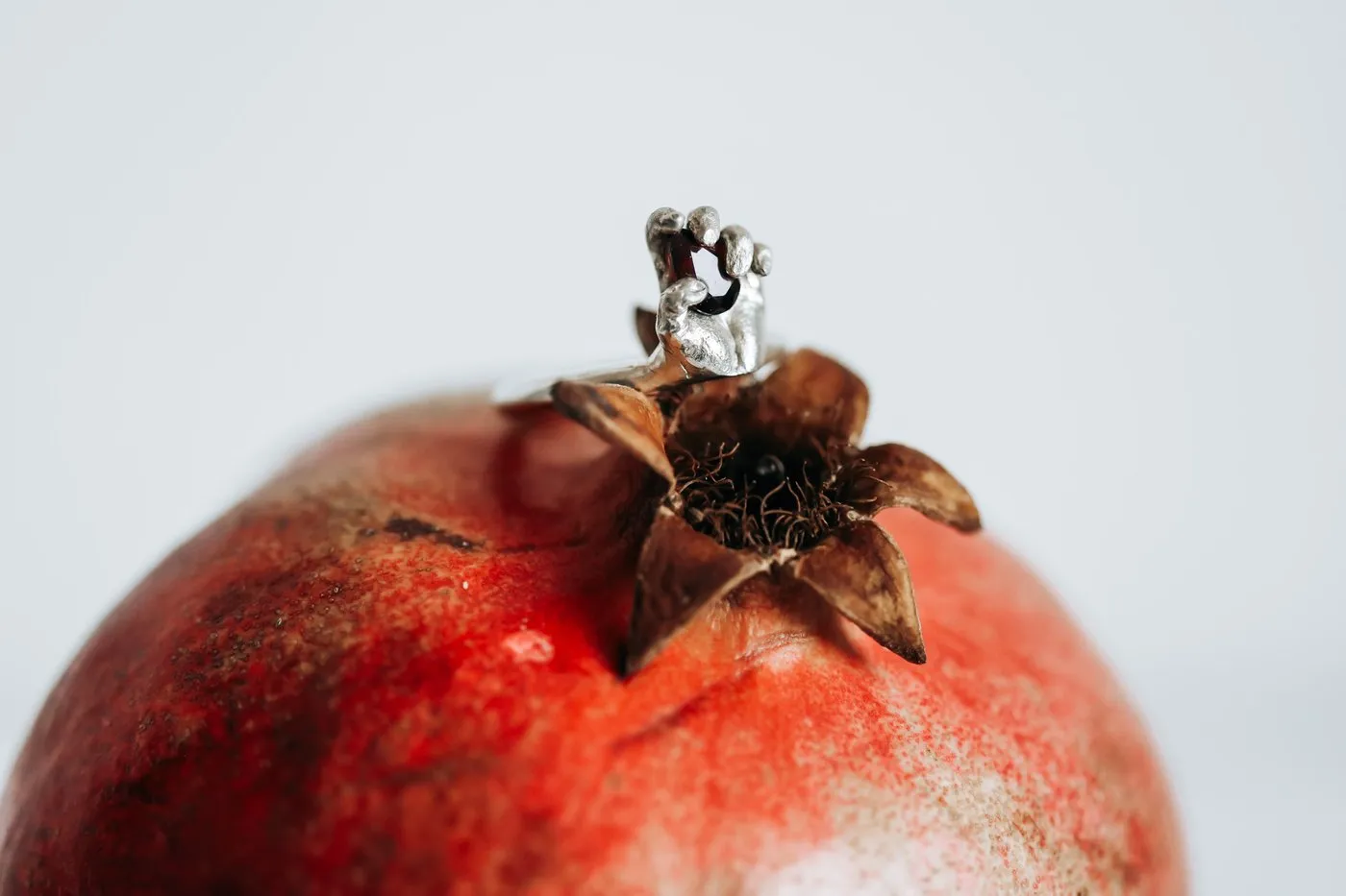 dovile Bertulyte red garnet pomegrante
