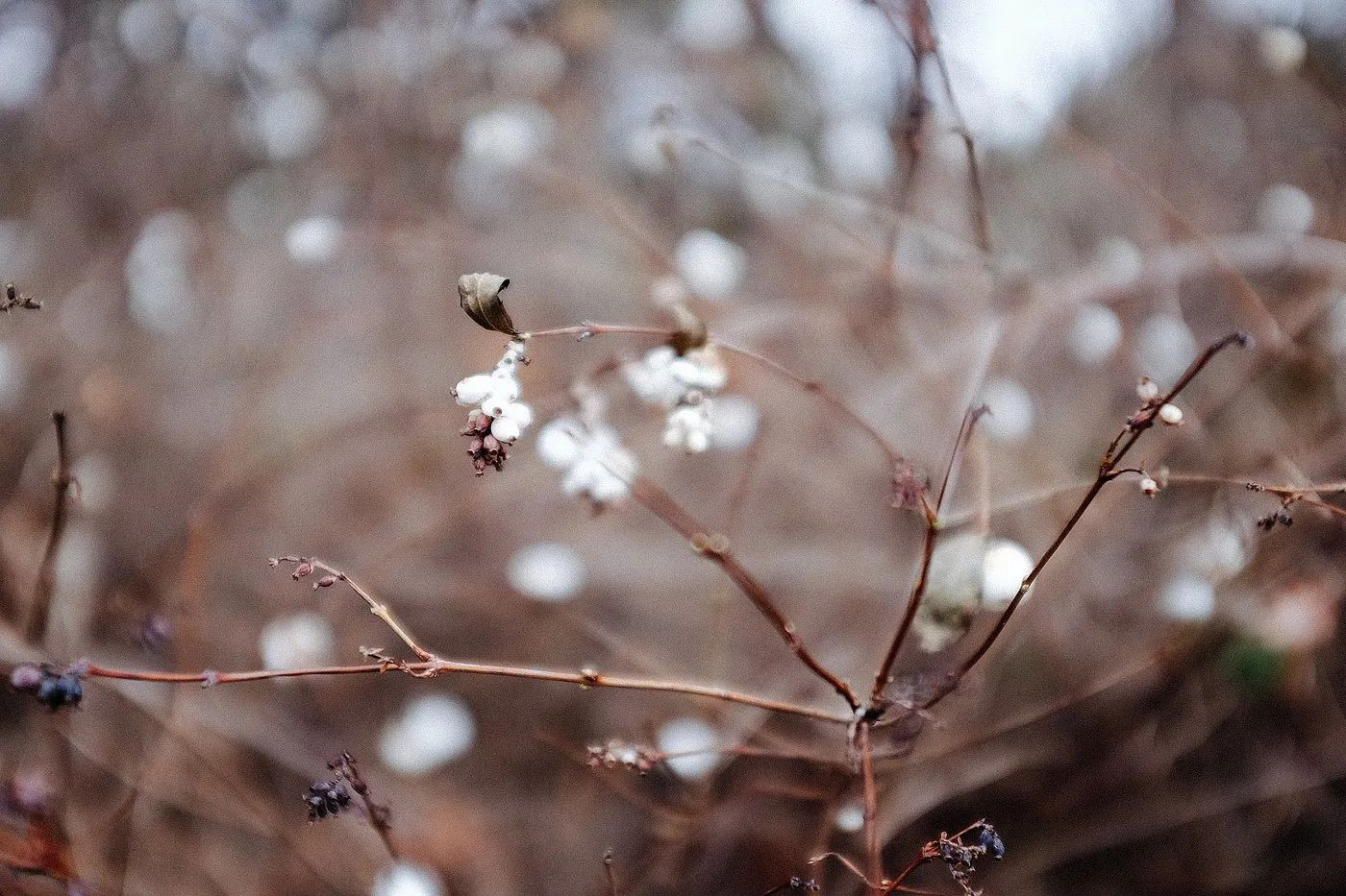 dovile_b_inspiration_travel_lithuania_winter4