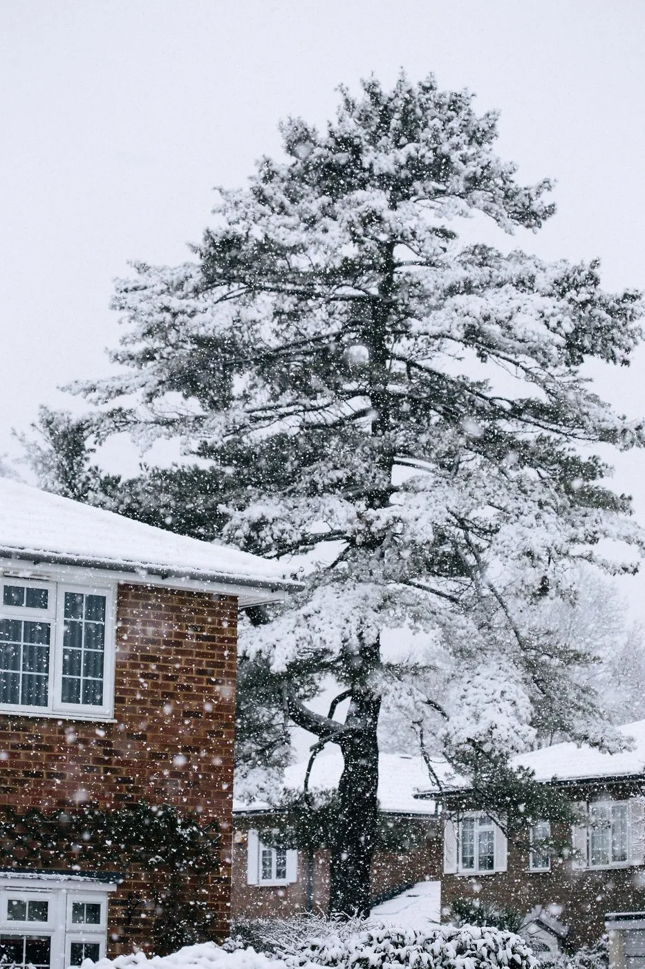 dovile_bertulyte_fine_jewellery_inspiration_snow15