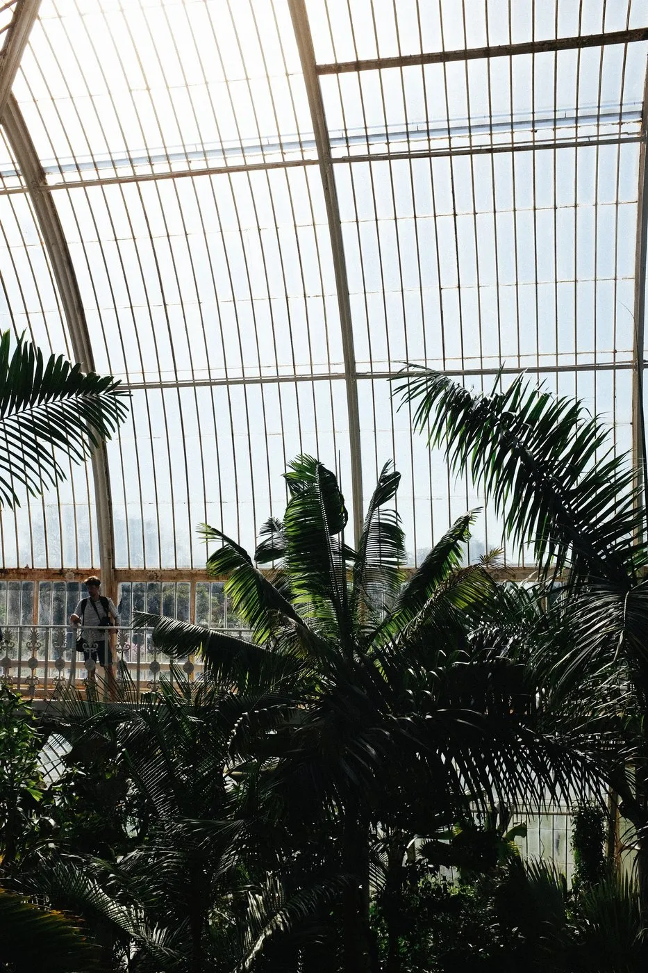 dovile_bertulyte_jewellery_kew_gardens_engagment_proposal_idea7