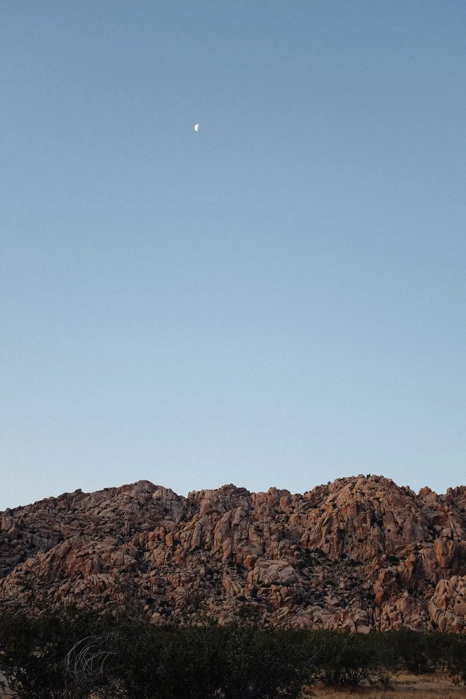 dovile b wedding joshua tree rustic
