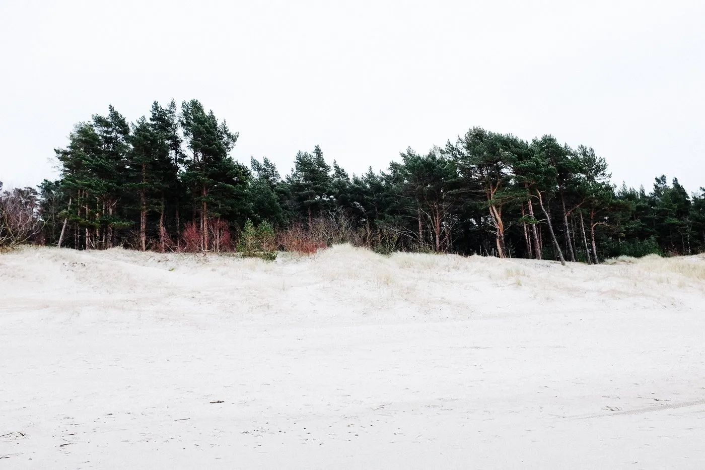 dovile_b_inspiration_travel_lithuania_winter2