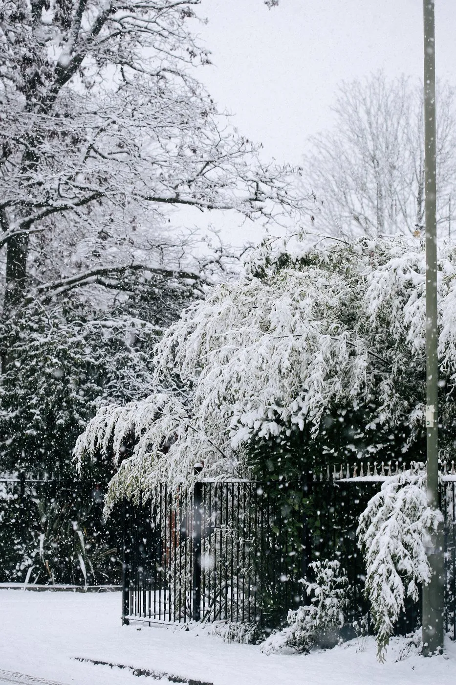dovile_bertulyte_fine_jewellery_inspiration_snow18