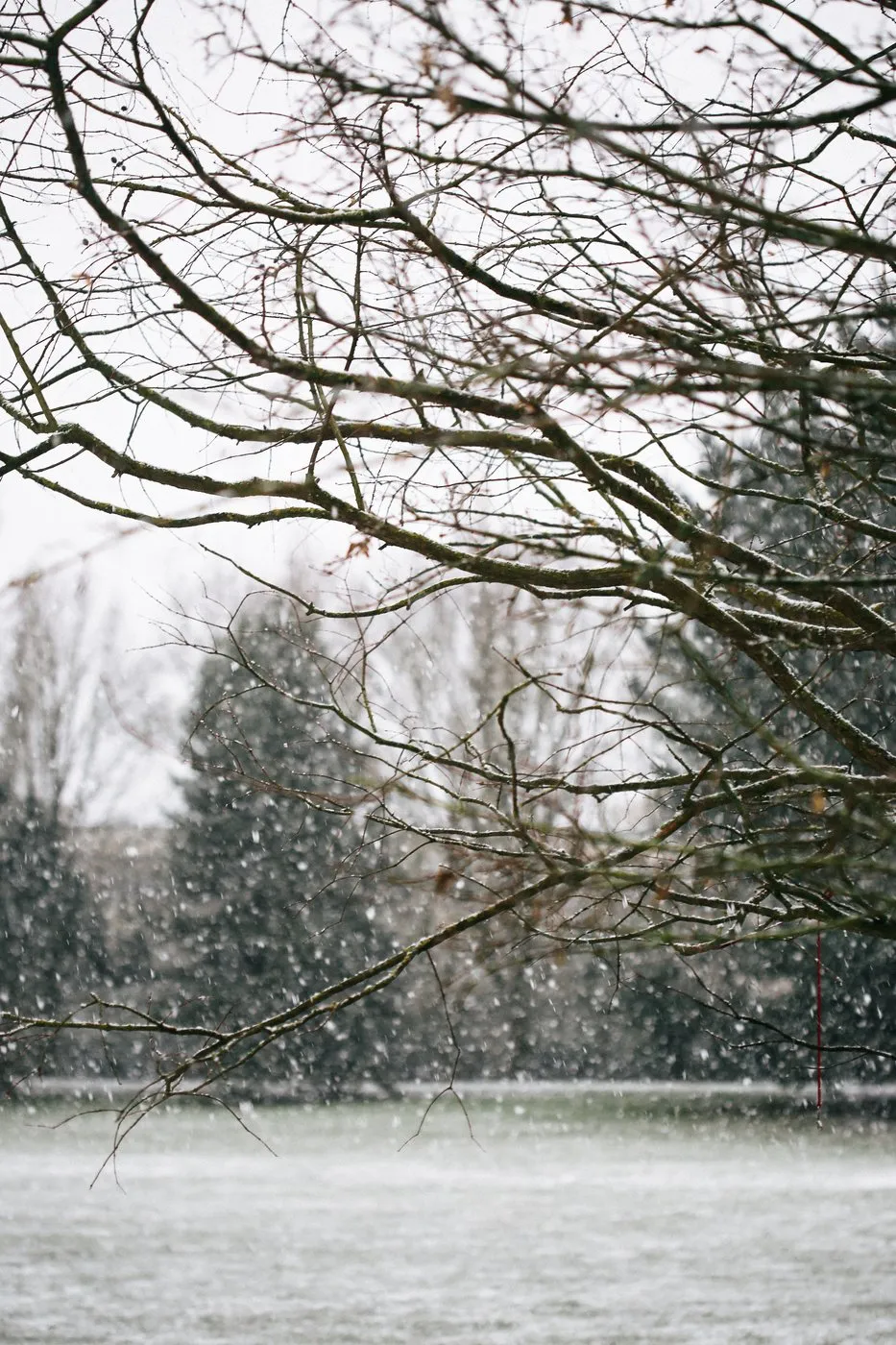 dovile_bertulyte_fine_jewellery_inspiration_snow19