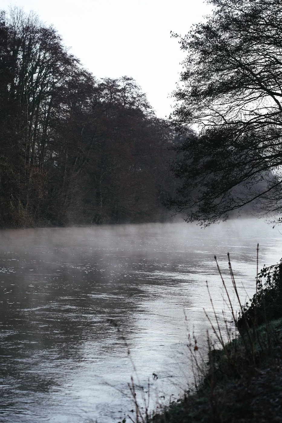Dovile Bertulyte Unique Jewellery Inspiration morning frog river thames