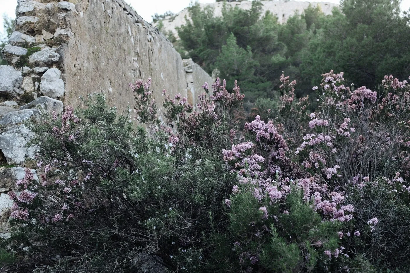 inspiration travel france marseille