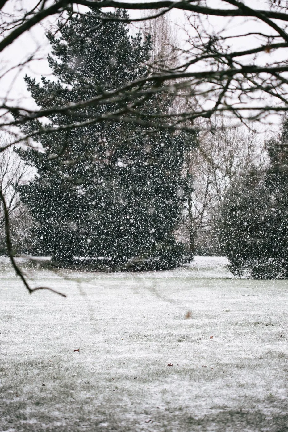 dovile_bertulyte_fine_jewellery_inspiration_snow20