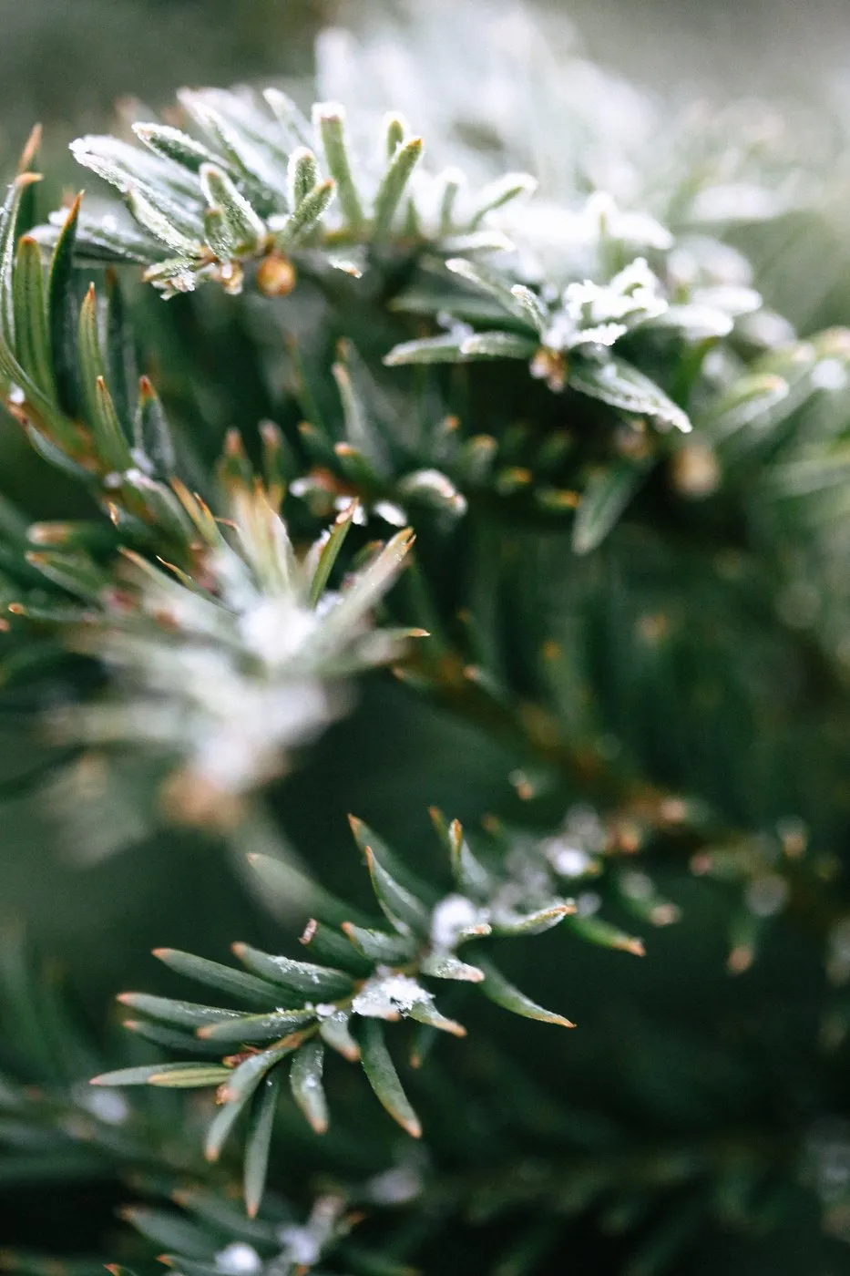 dovile_bertulyte_fine_jewellery_inspiration_snow27
