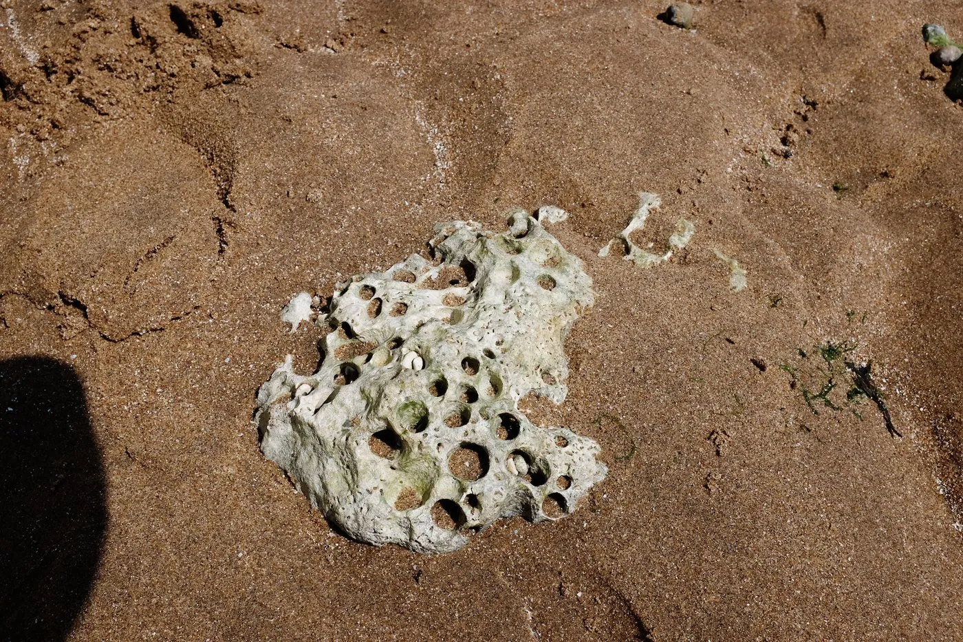 Dovilė Bertulytė inspiration england coast
