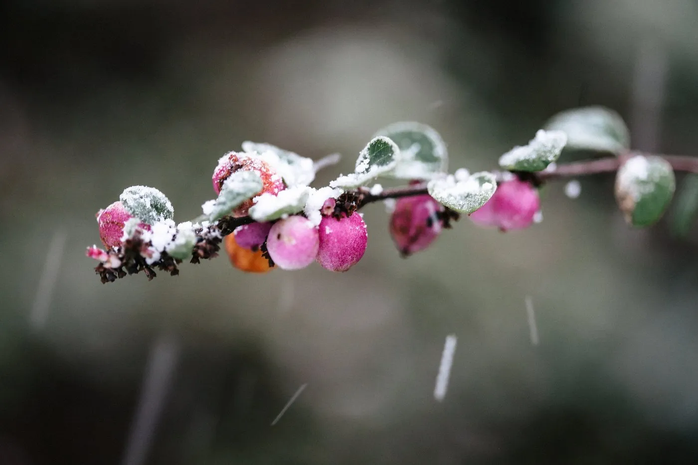dovile_bertulyte_fine_jewellery_inspiration_snow25