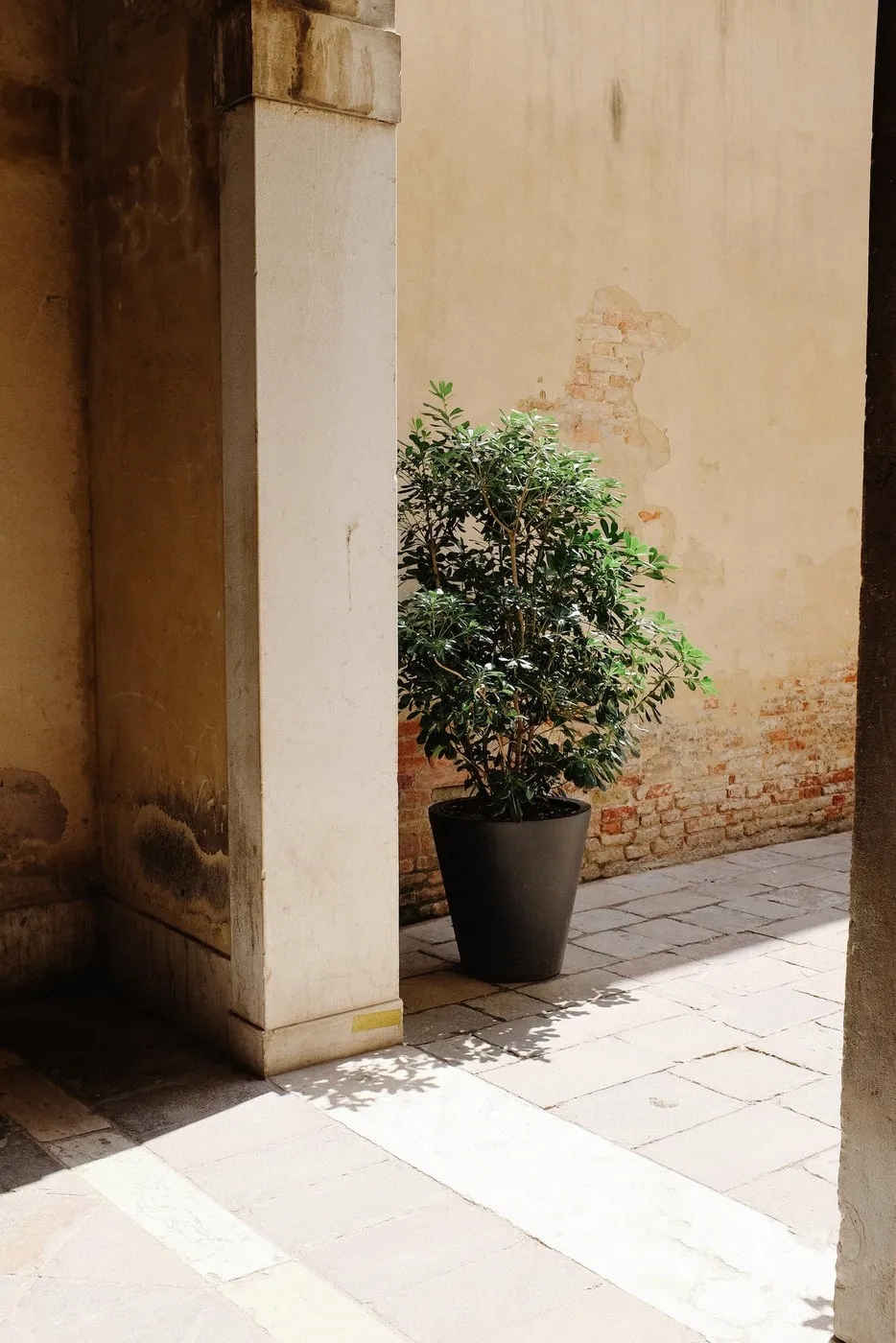 Dovilė Bertulytė venice colours inspiration