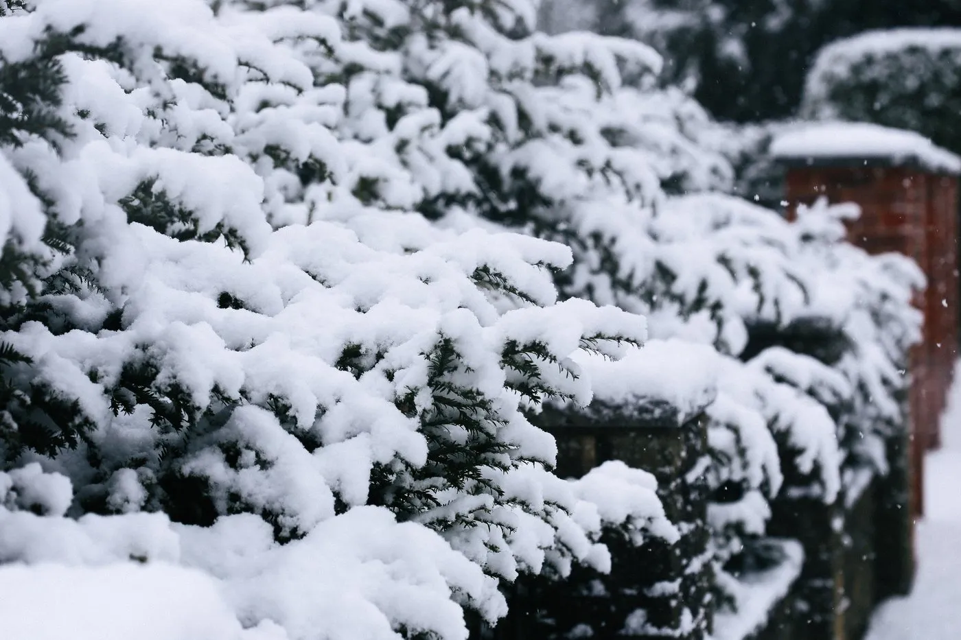 dovile_bertulyte_fine_jewellery_inspiration_snow3
