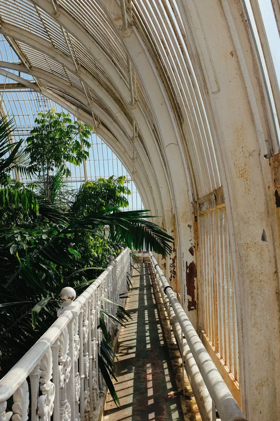 dovile_bertulyte_jewellery_kew_gardens_engagment_proposal_idea18