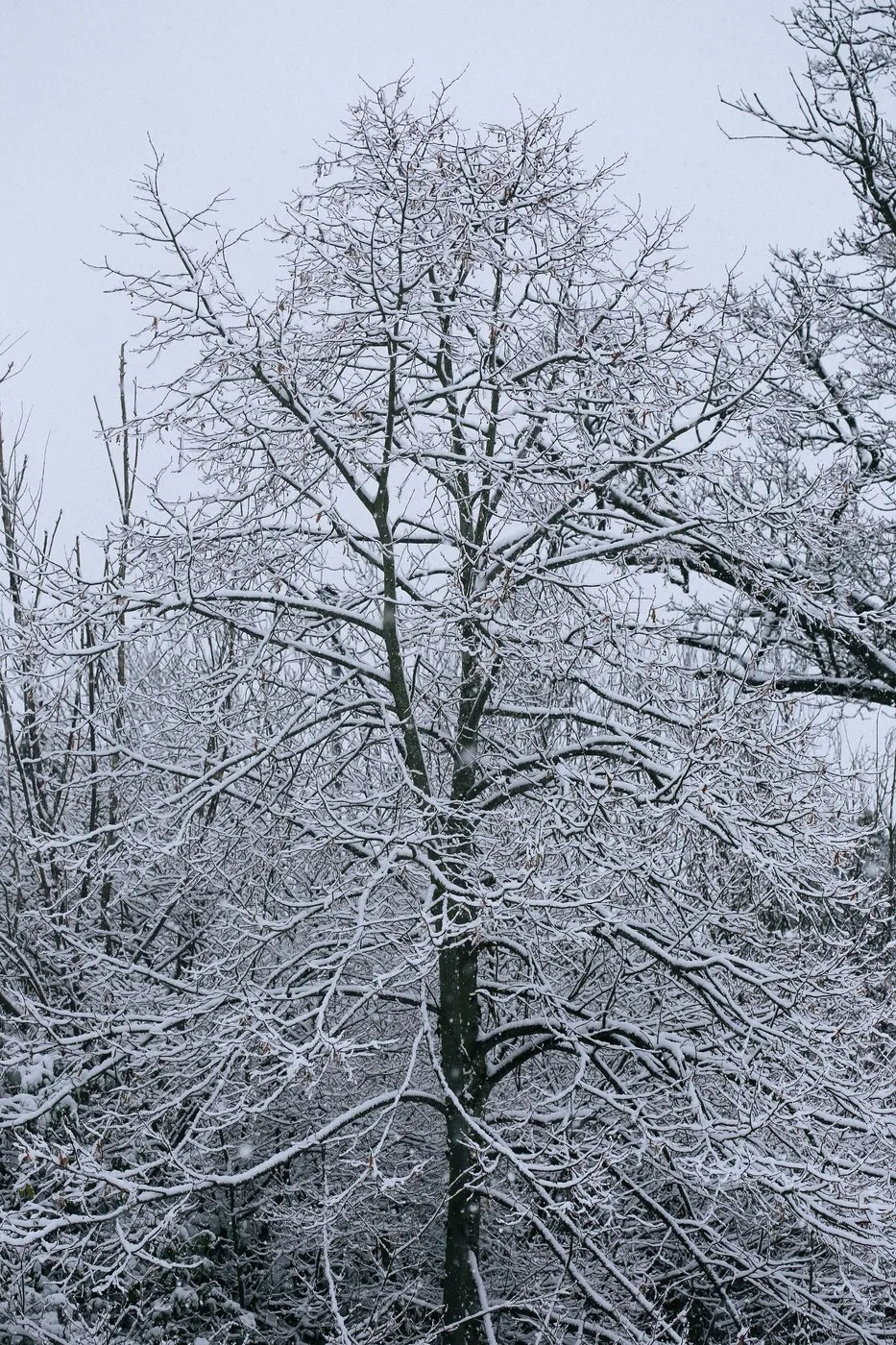 dovile_bertulyte_fine_jewellery_inspiration_snow6