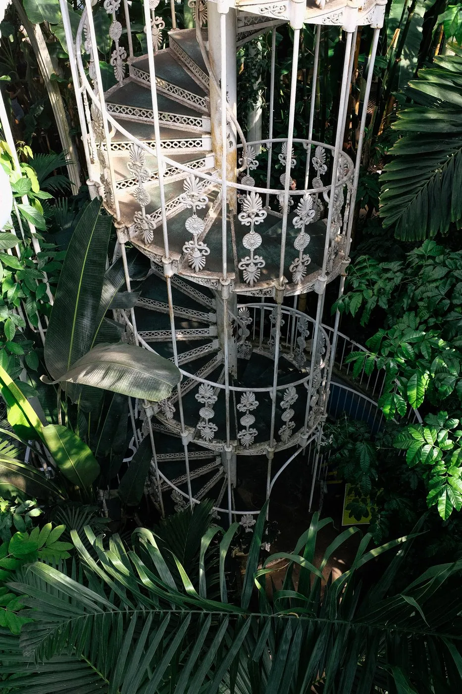 dovile_bertulyte_jewellery_kew_gardens_engagment_proposal_idea17
