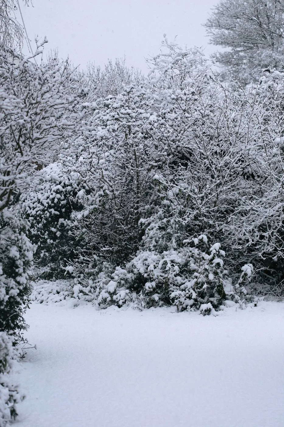 dovile_bertulyte_fine_jewellery_inspiration_snow7