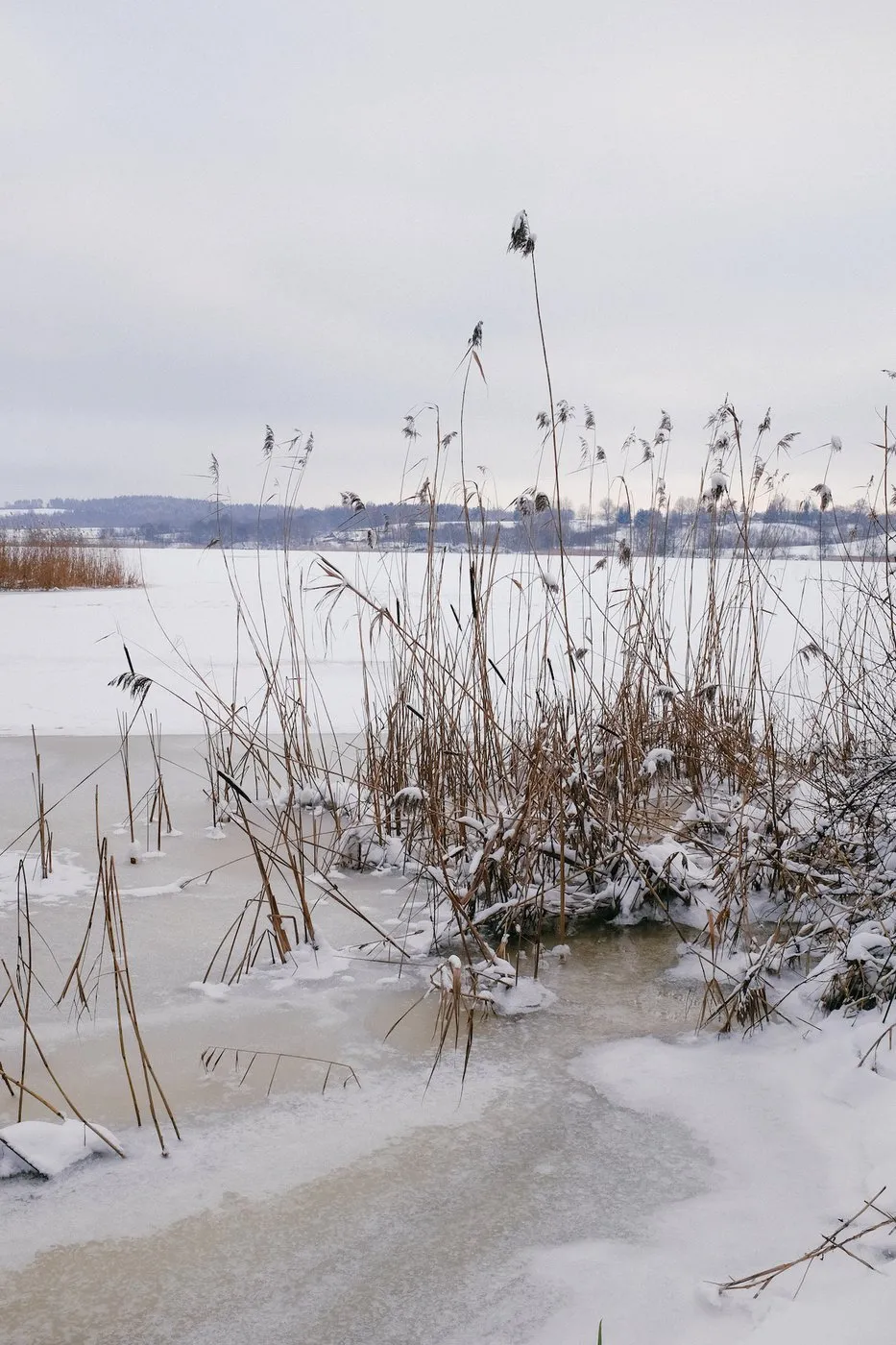 dovile b Lithuania winter