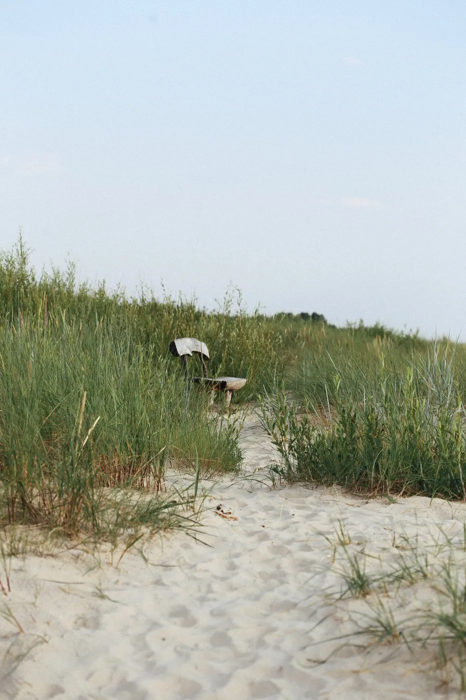 Dovile Bertulyte Monciskes Lithuania Seaside Photography Wedding Ideas