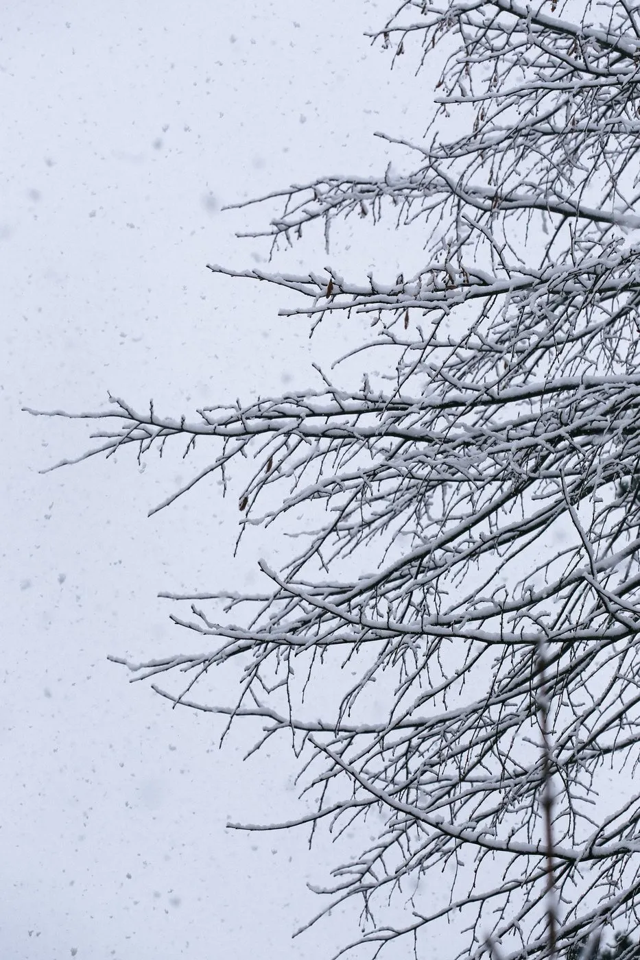 dovile_bertulyte_fine_jewellery_inspiration_snow12