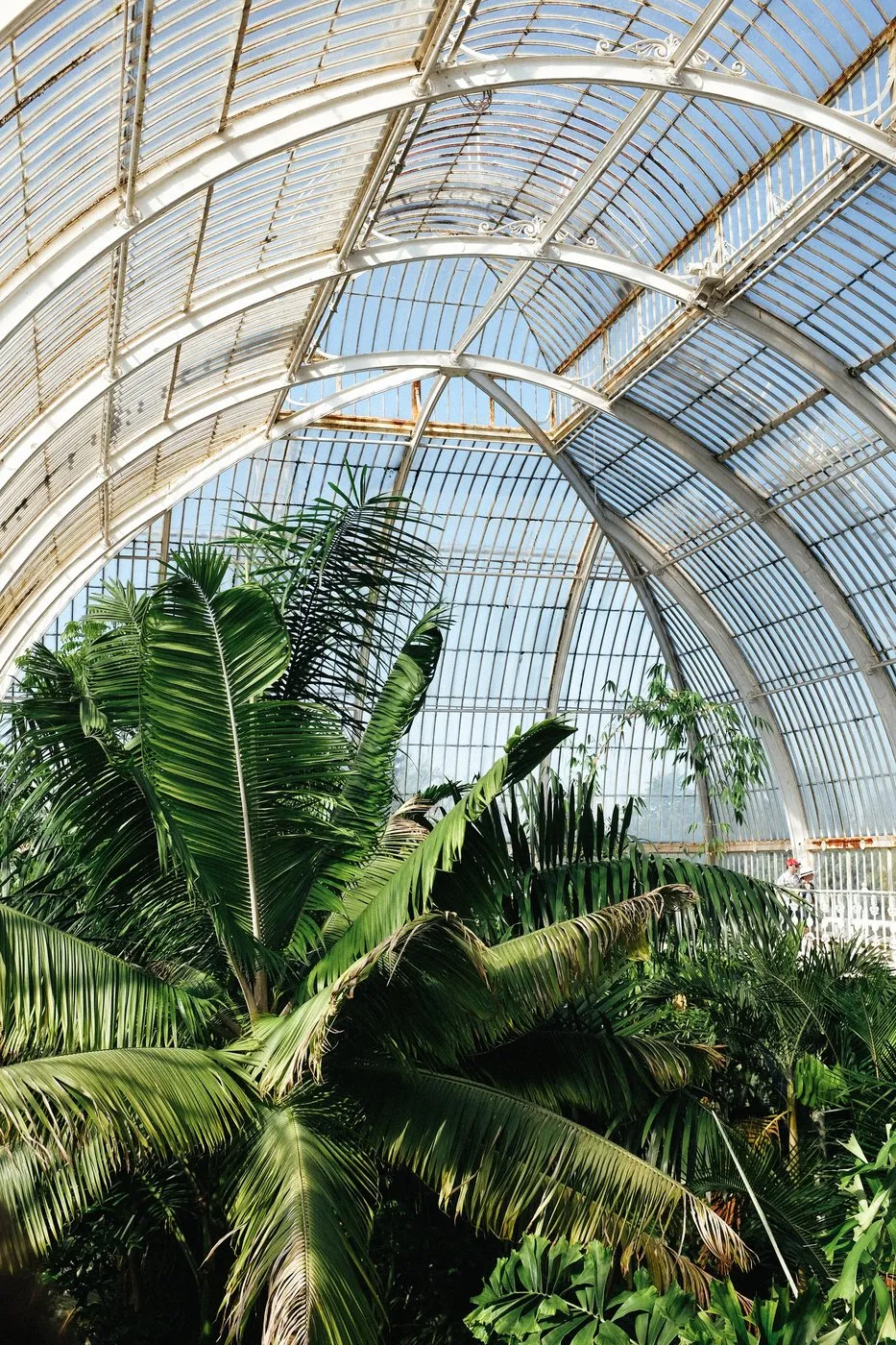 dovile_bertulyte_jewellery_kew_gardens_engagment_proposal_idea16