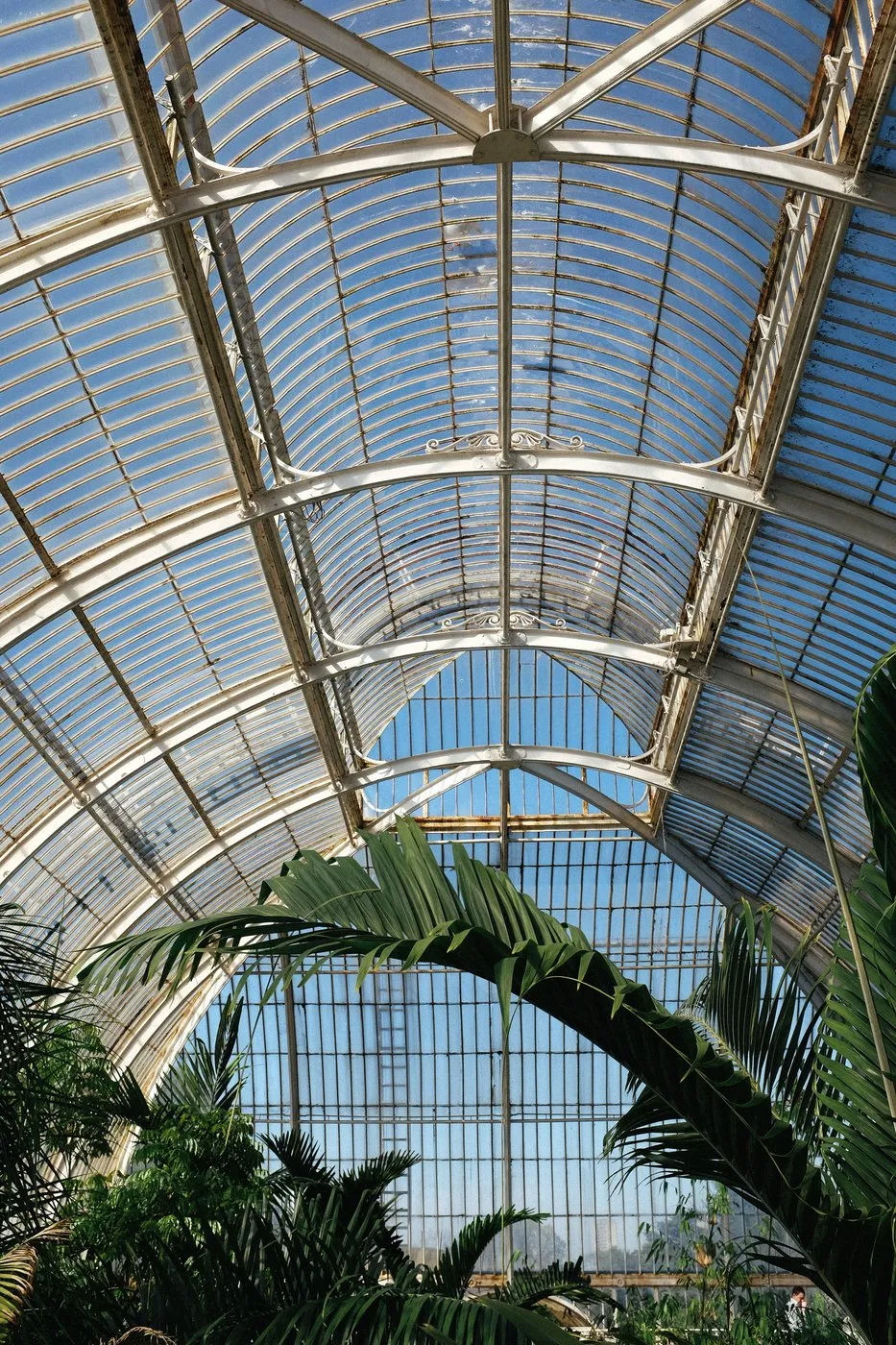 dovile_bertulyte_jewellery_kew_gardens_engagment_proposal_idea14