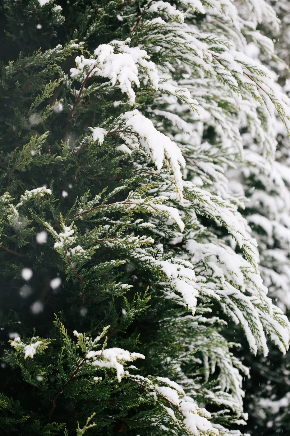 dovile_bertulyte_fine_jewellery_inspiration_snow13