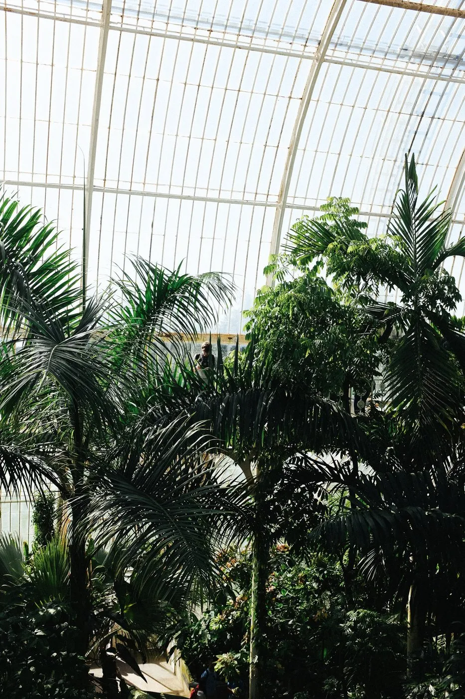 dovile_bertulyte_jewellery_kew_gardens_engagment_proposal_idea8