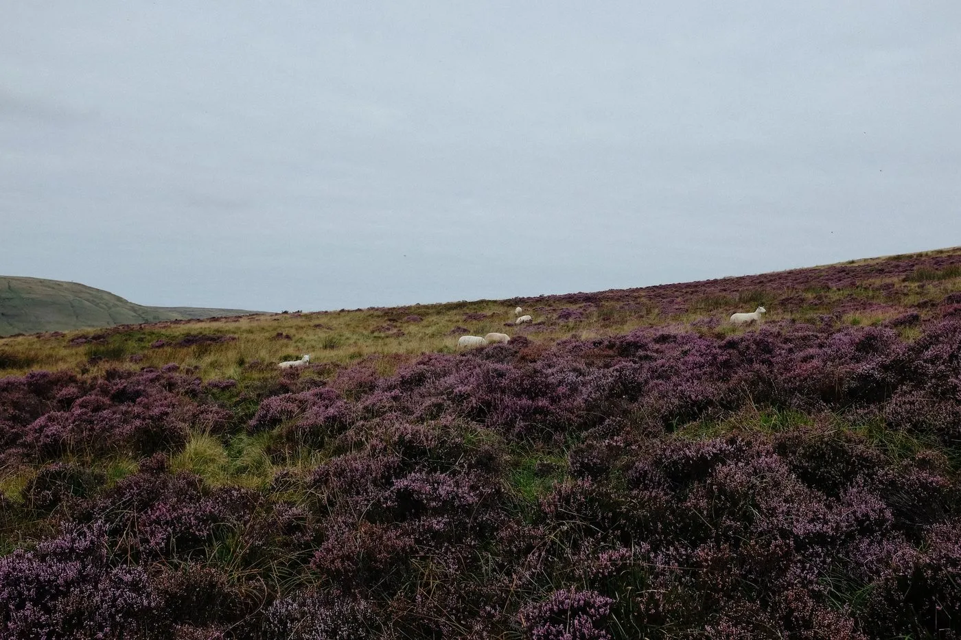 dovile b wales landscape brecon beacons